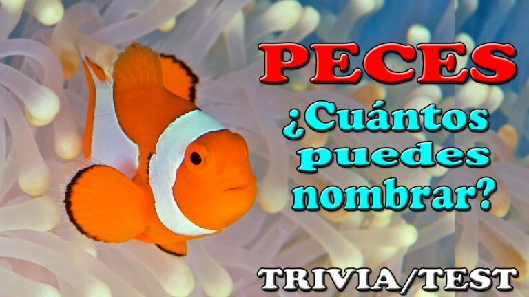 pescados pequenos nombres