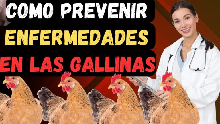 ¿Por Qué se Mueren las Gallinas de Repente? Causas Comunes y Soluciones Urgentes para Evitar Pérdidas porque se mueren las gallinas de repente